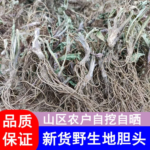 广东野生地胆头干货晒干 农家无添加自晒地胆草 清热解毒