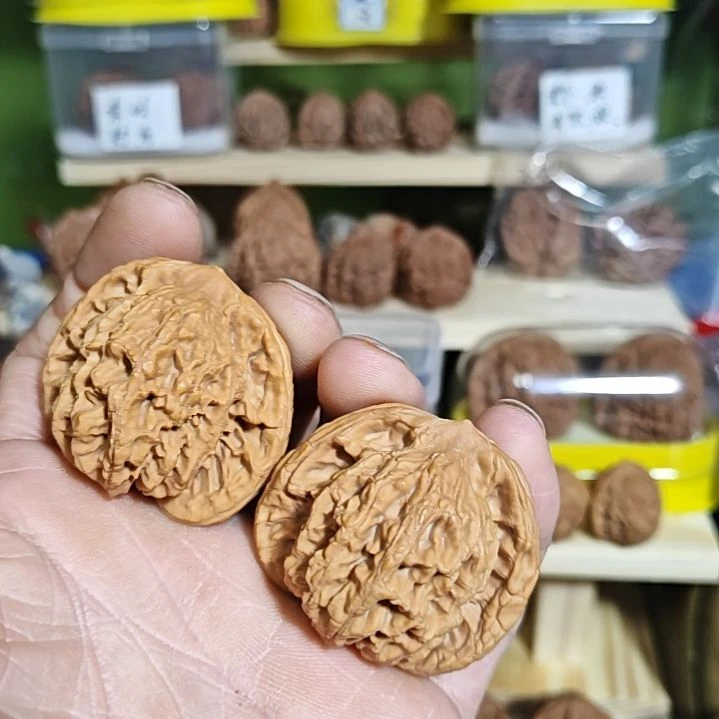 44加尺寸，狮虎兽，练手对