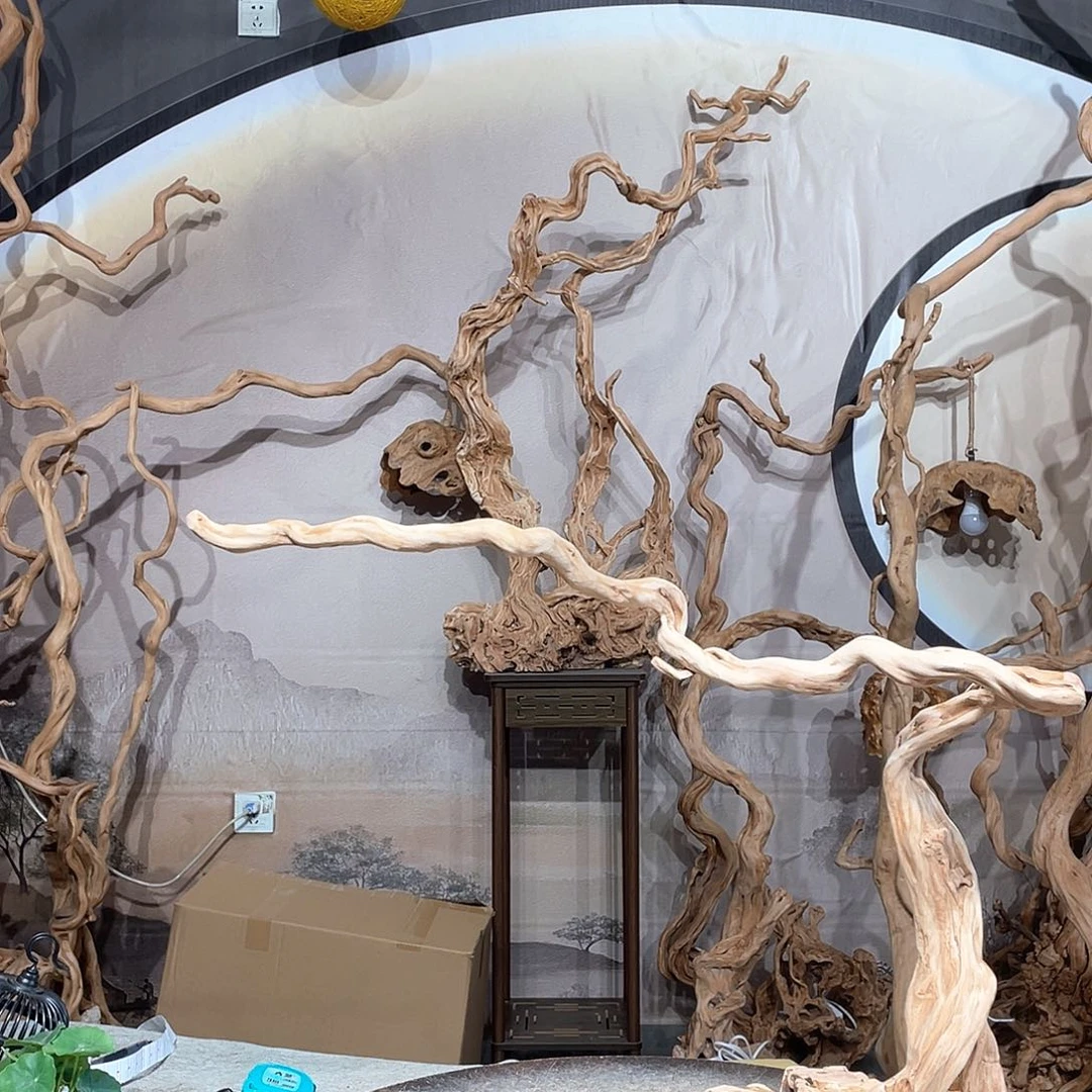 给***柔核桃木/黑胡桃（胡桃木）