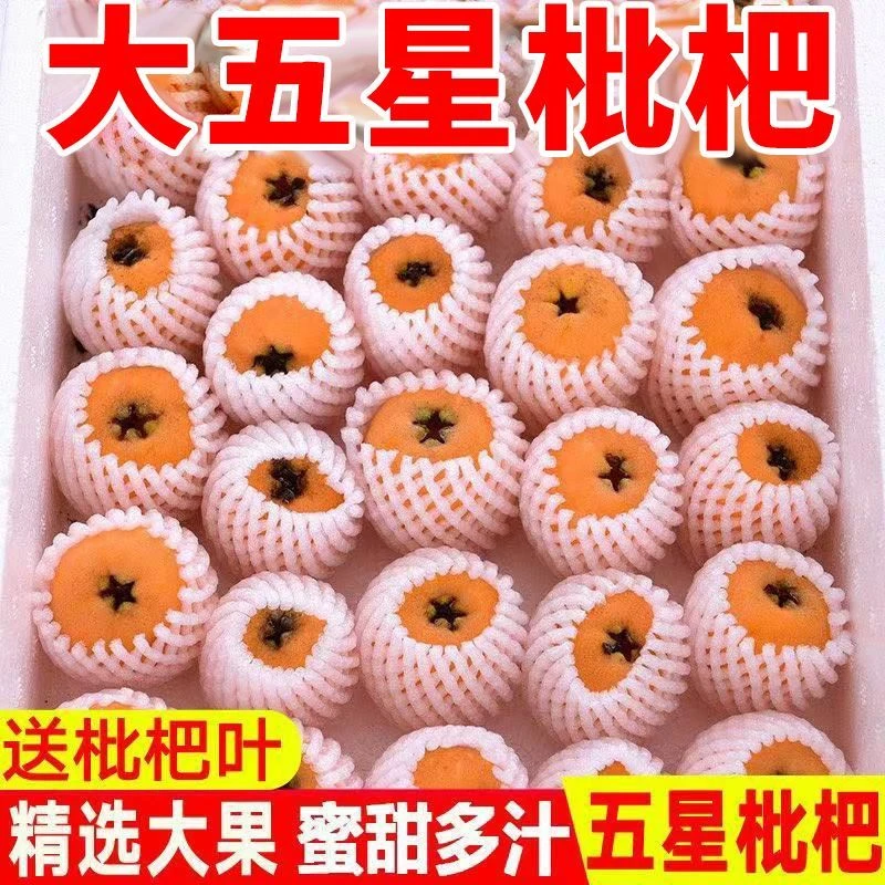 四川攀枝花米易枇杷正宗应季水果大五星新鲜高山爆甜琵琶整箱包邮