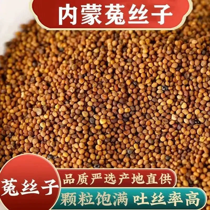 菟丝子正宗内蒙纯天然野生菟丝子特级新货吐丝子沙苑子泡茶