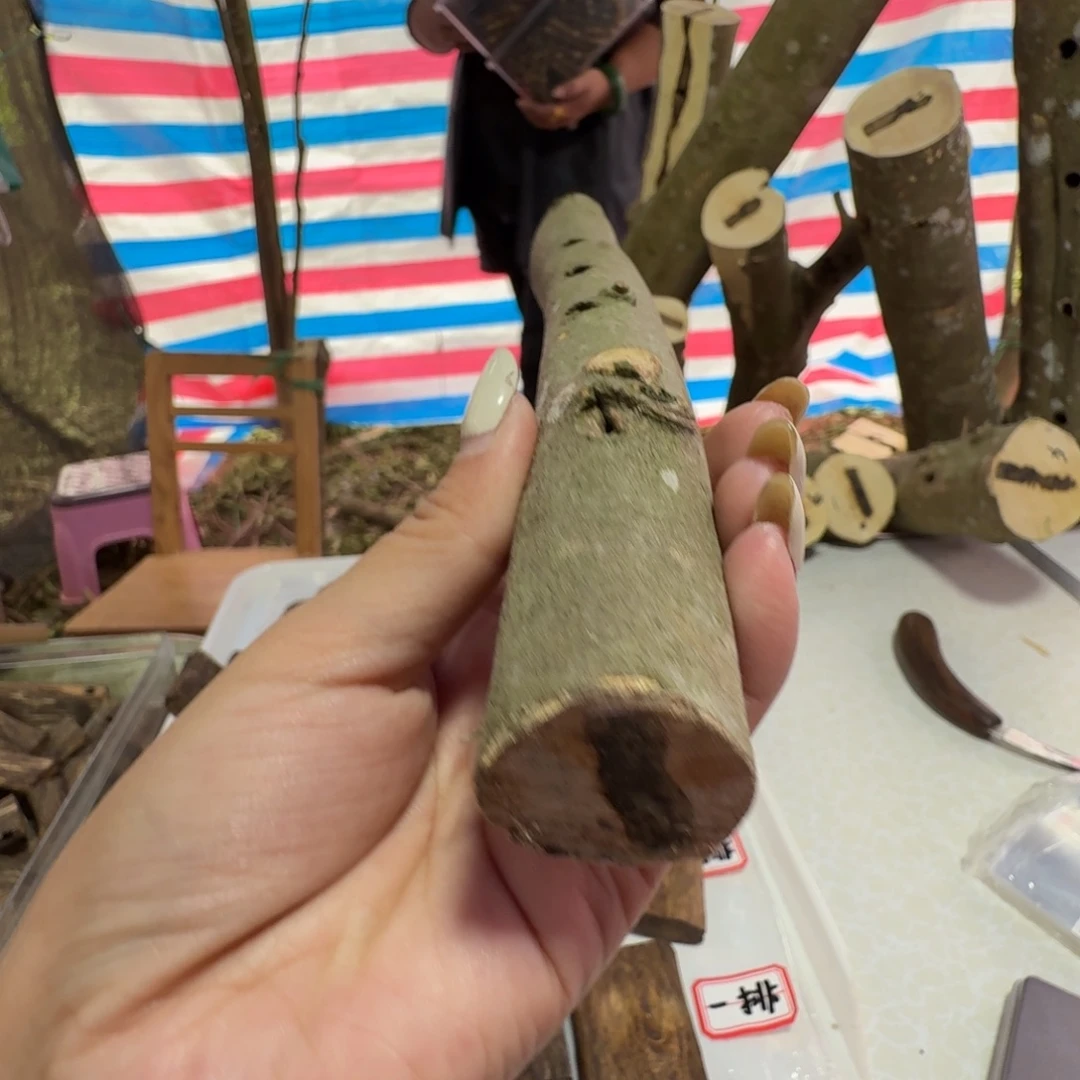 大****线香奇楠沉香原木