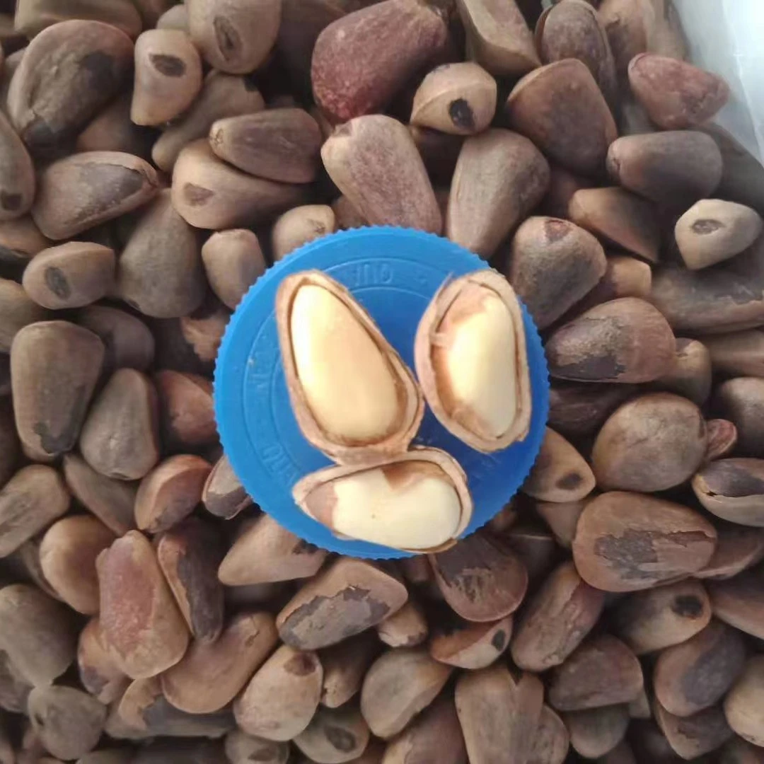 大颗粒长白山天然红松子开口松子850大颗粒