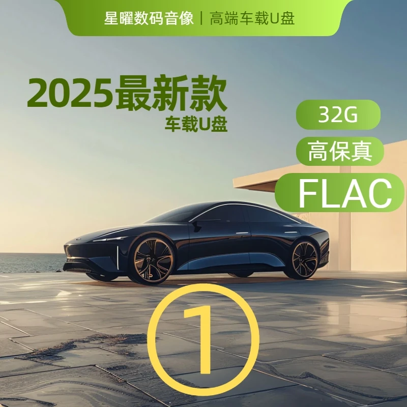 【2025新款】车载U盘FLAC格式无损高保真