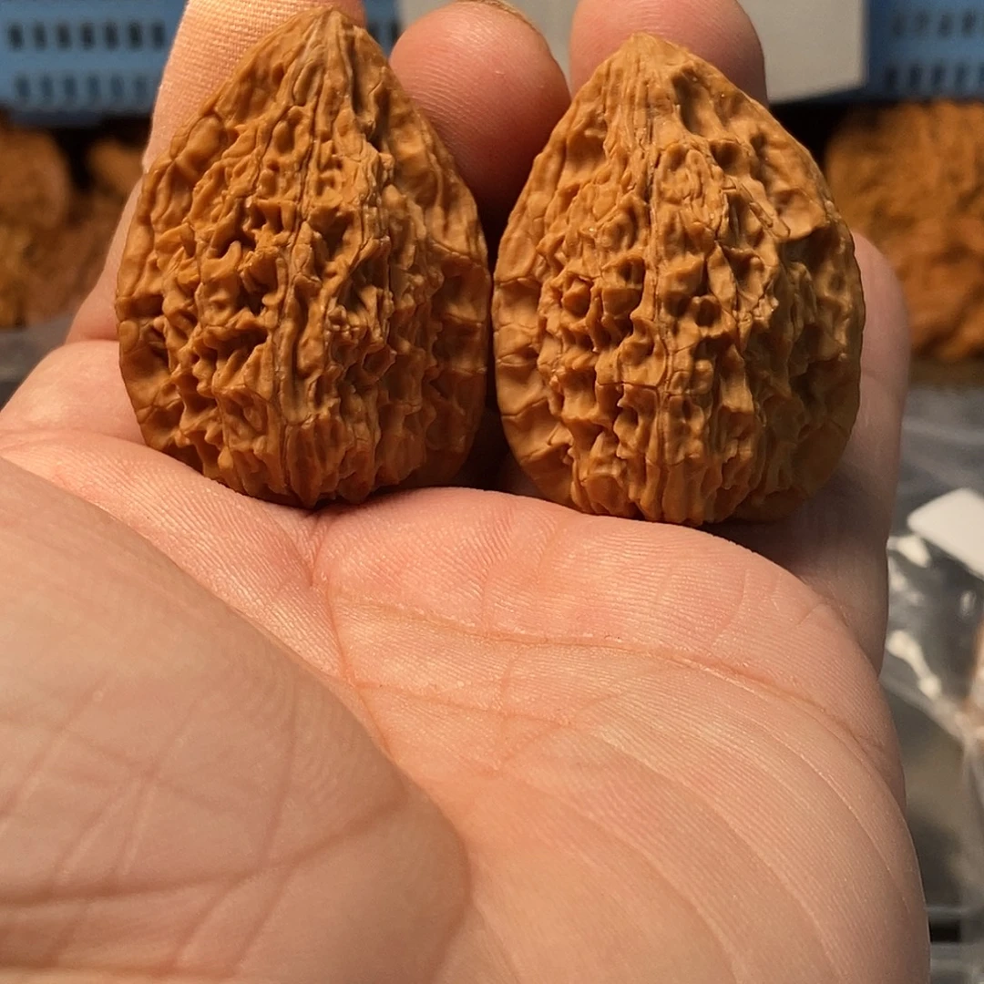 文玩核桃鸭嘴兽32-252