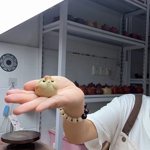 段泥茶案吐泡泡茶宠