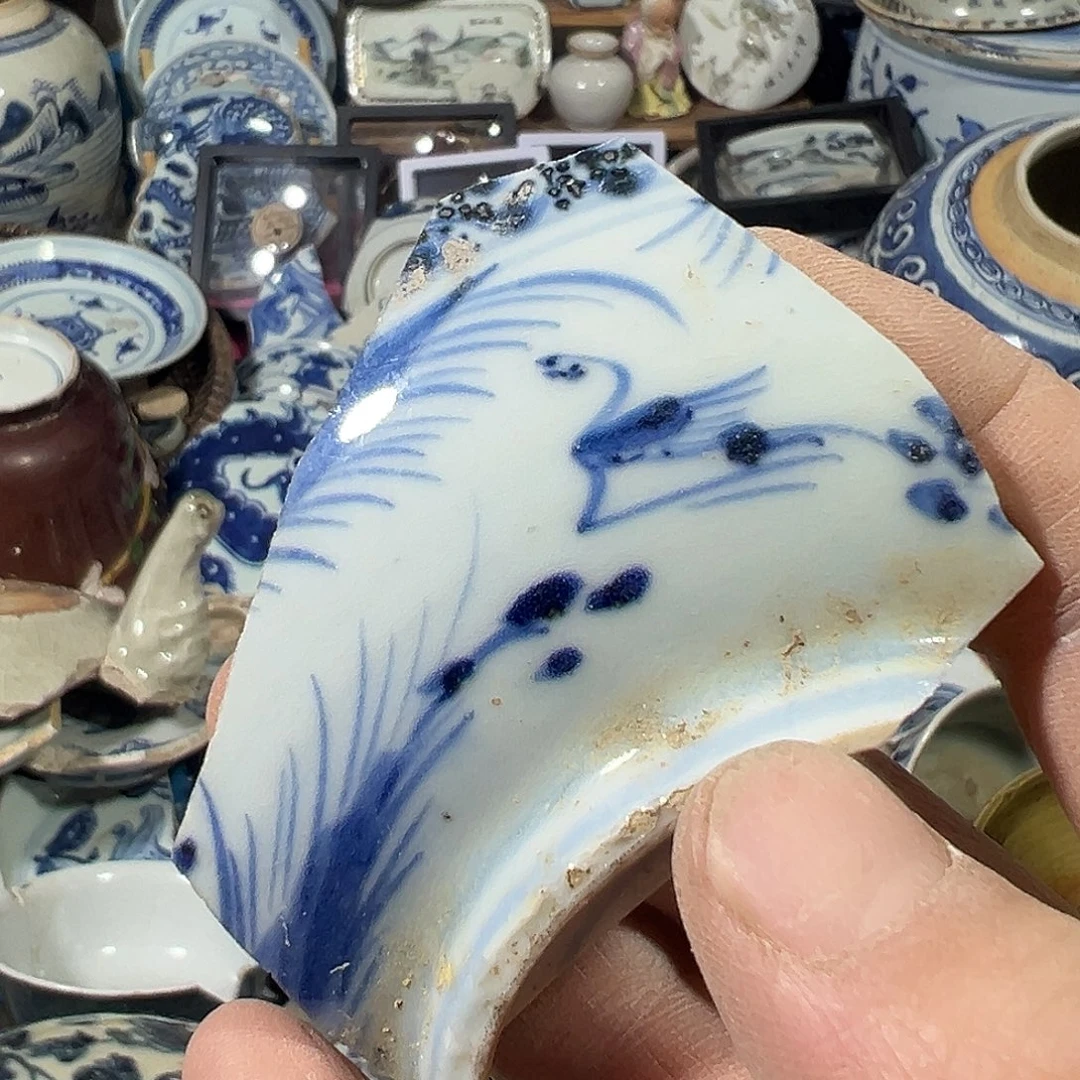 瓷片瓷片标本，全场包邮