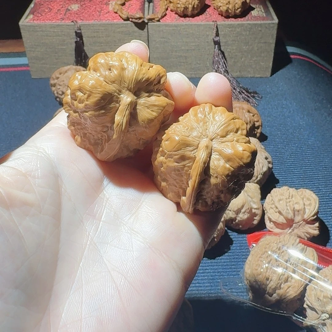 蛤蟆头一帆风顺41