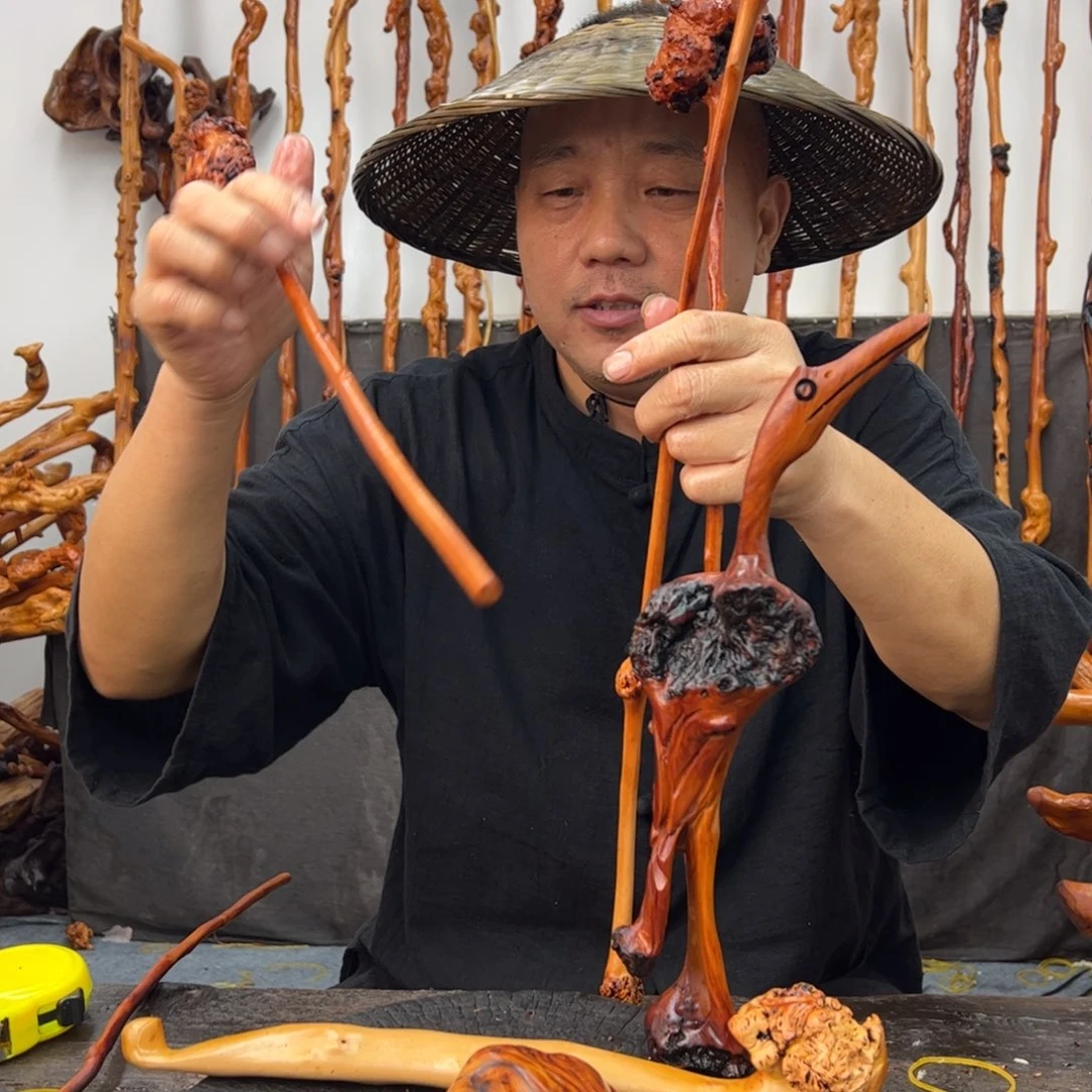 赵***平黑果木其他黑果木064
