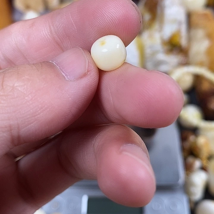 琥珀未镶嵌珠宝奇石我