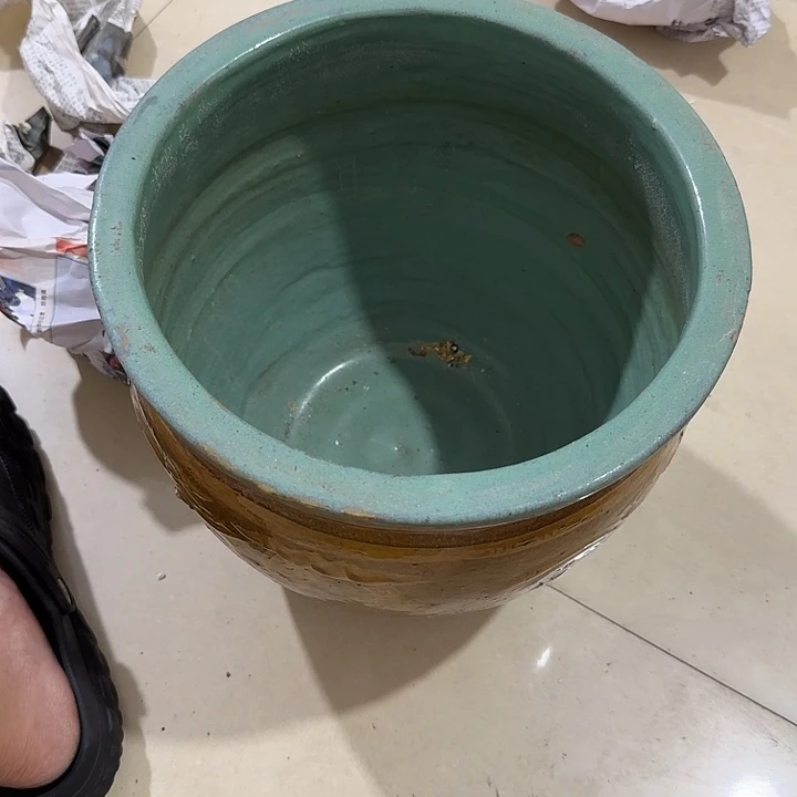 沈***松扇子吃v好吧宝贝宝贝宝贝宝贝