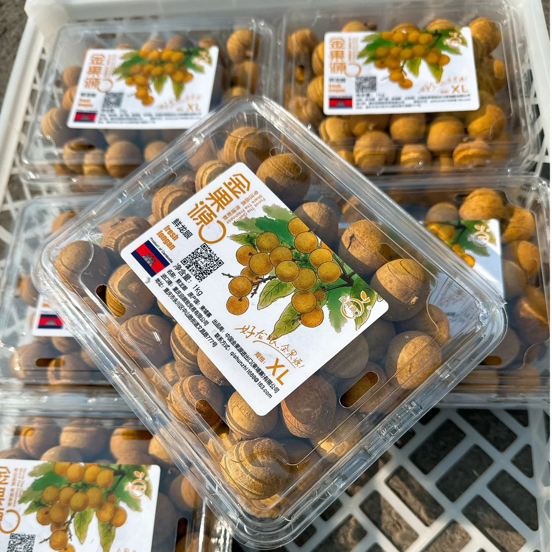 金果源龙眼一盒