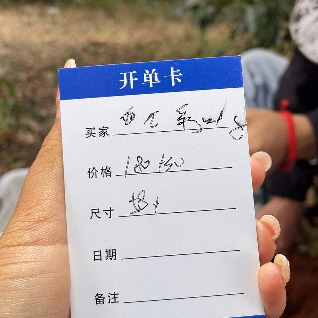 七***子非金属所见皆所得