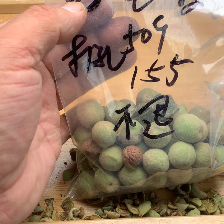 电***发文玩核桃吊坠野生精品小核桃散籽