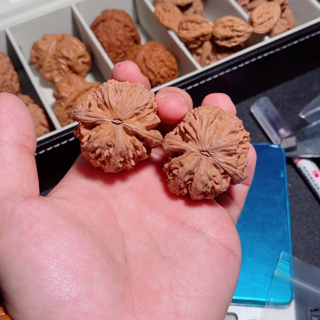 敷***月42全品山地红皮小众