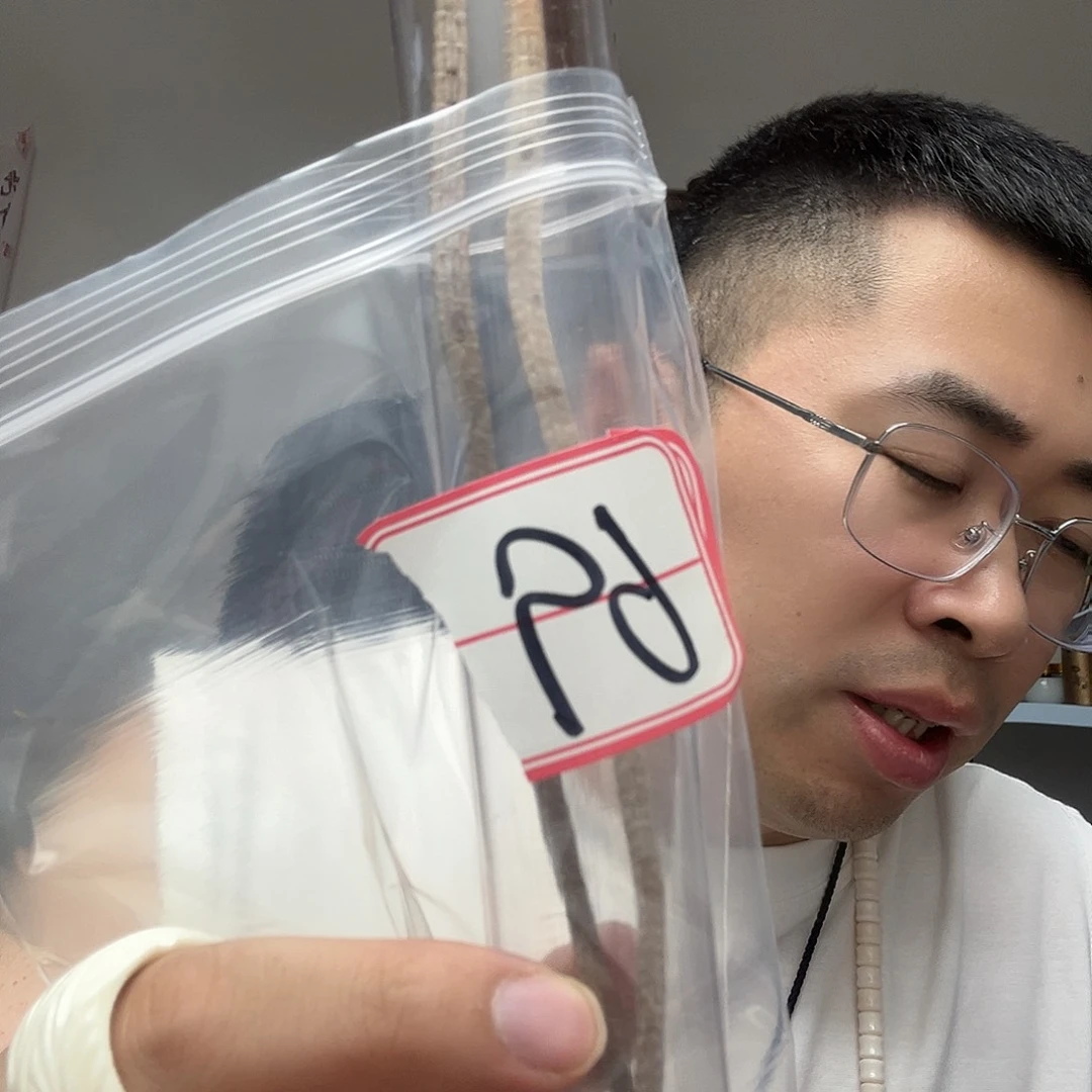 橄榄核手串/手链工艺品69