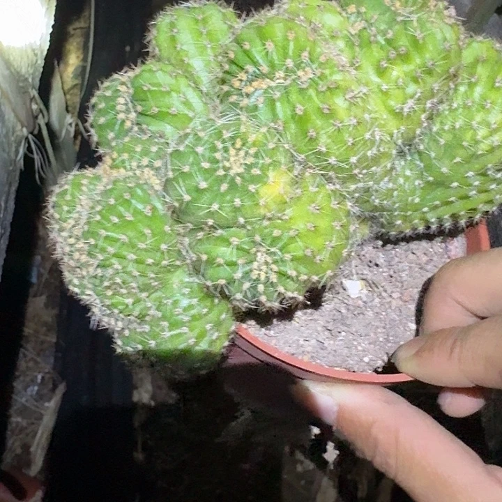 爱***花无花朵彩草哈哈哈哈哈哈哈