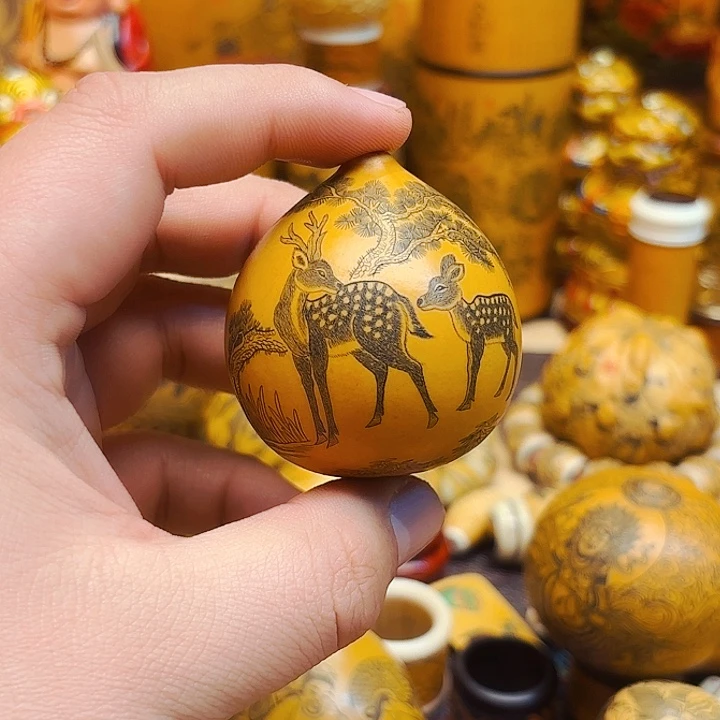 豆*葫芦葫芦葫芦葫芦