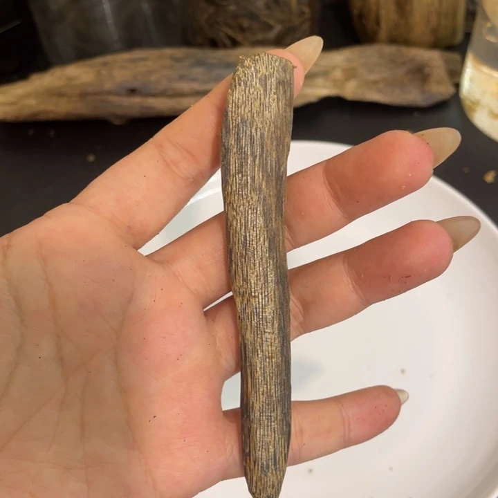 沉香碎屑沉香乌身圆叶小虫管