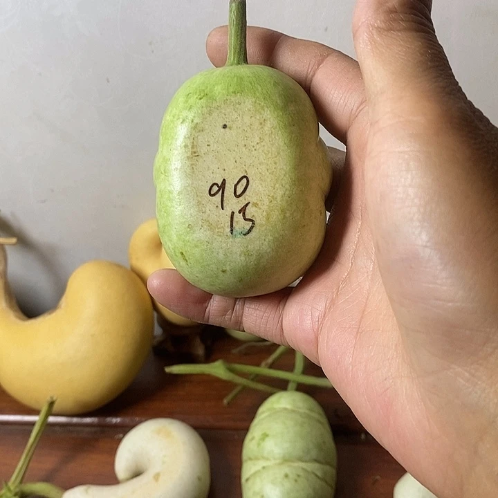 ****0青皮腰子葫芦手把件花头摆件