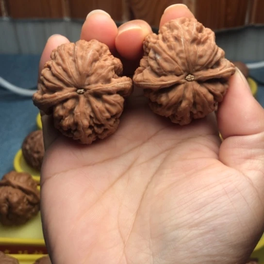 卤*粗筋，不接受打底退换货