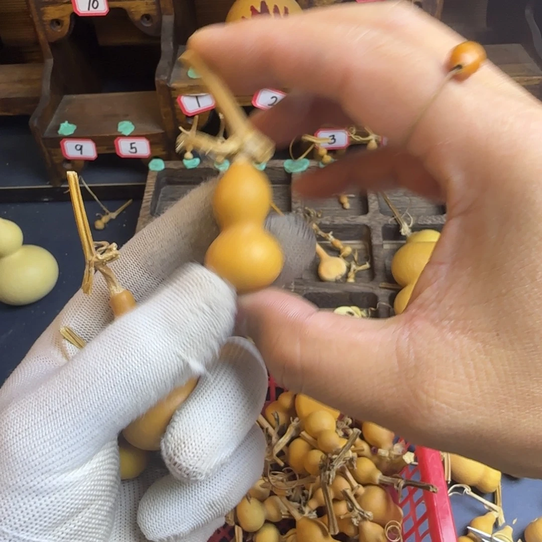 。***。我也是很喜欢这个节目的呢我们