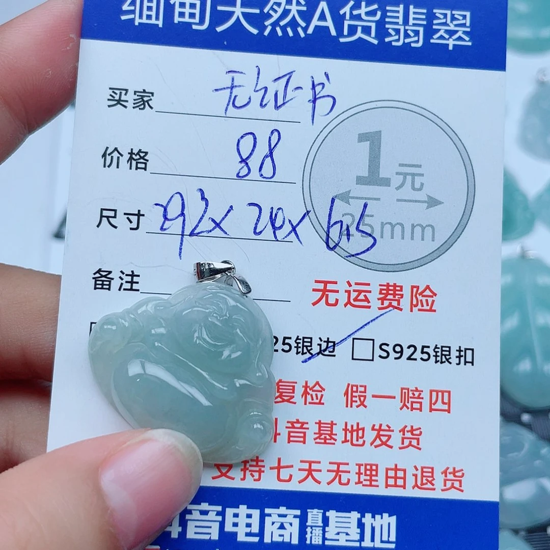 翡翠银S925镶嵌颈饰翡翠