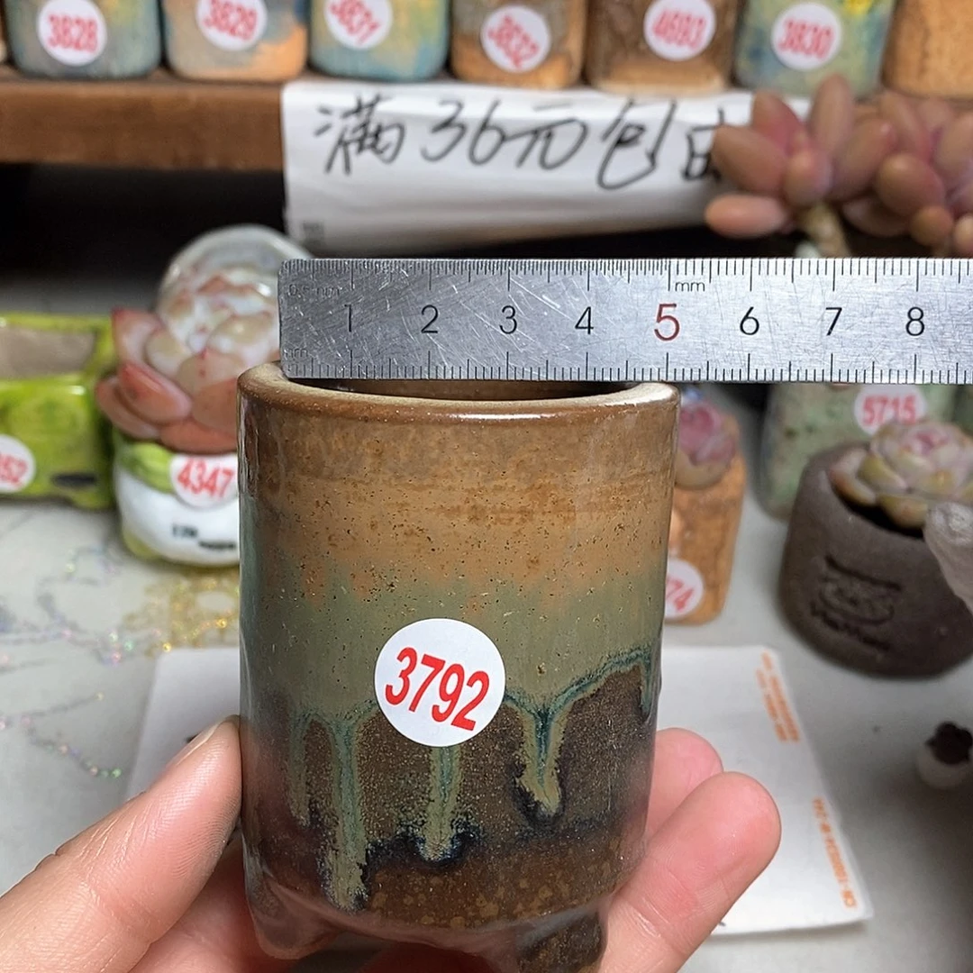 红陶拍5送一个小