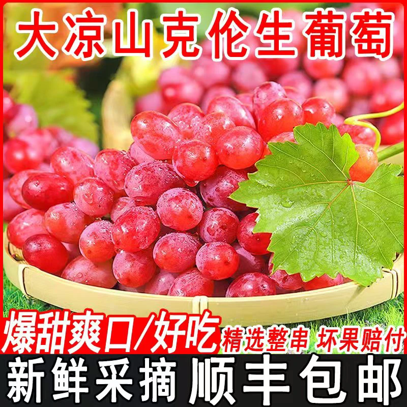 【顺丰包邮】正宗大凉山克伦生葡萄无籽红提葡萄纯甜无酸新鲜水果
