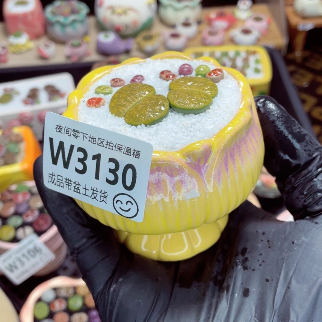 夜间零下地区拍保温箱w3130