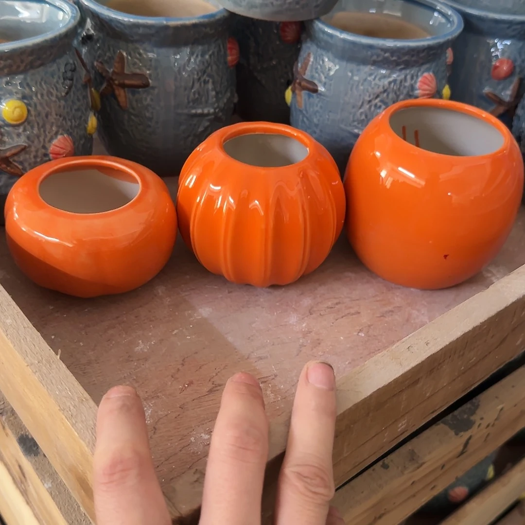 3个福利局绿植多肉盆［凑9元包邮24小时发］