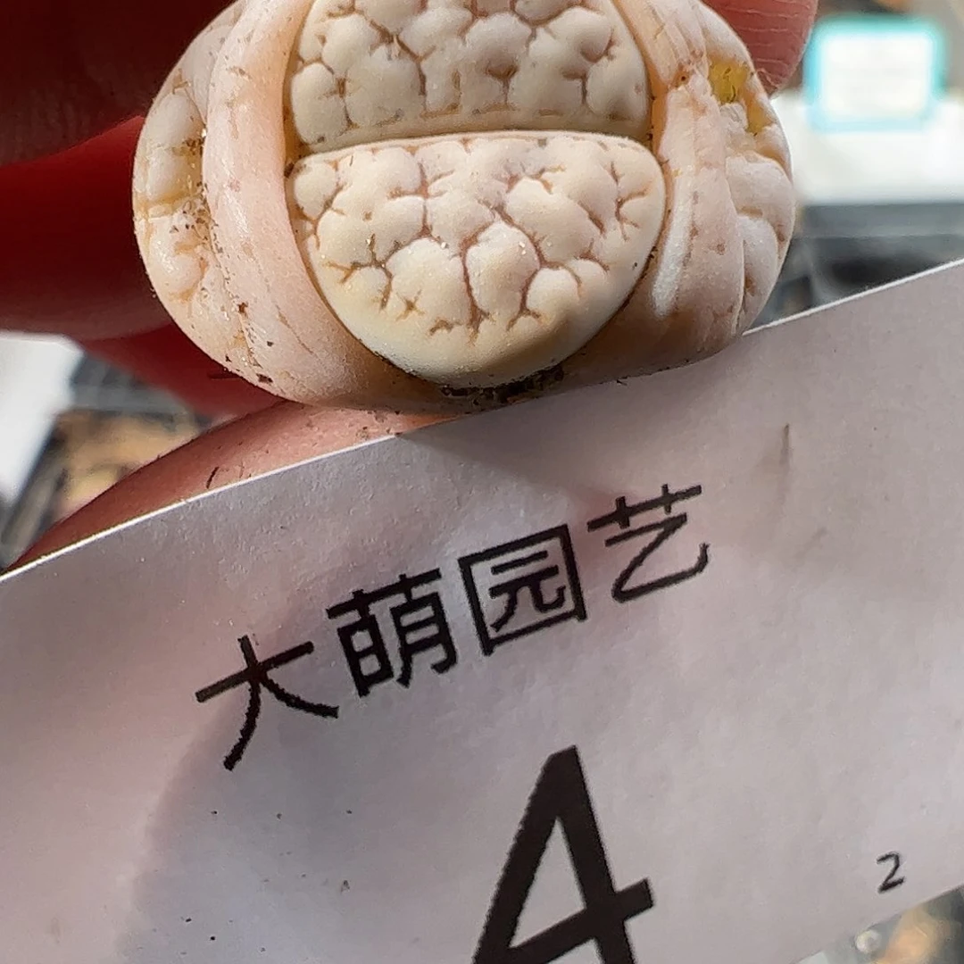 00004 一物一拍……