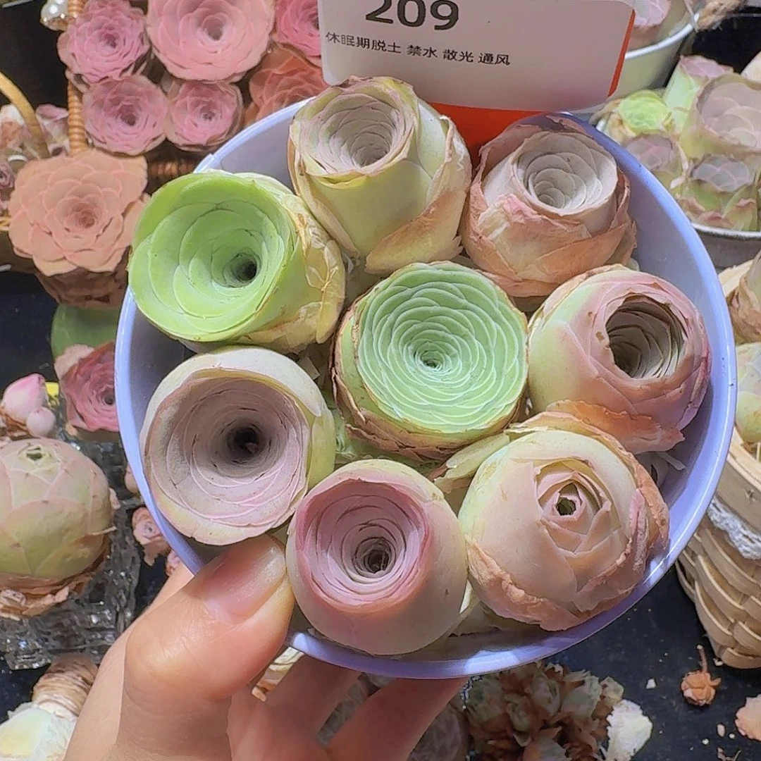 209花篮组合8颗一物一拍