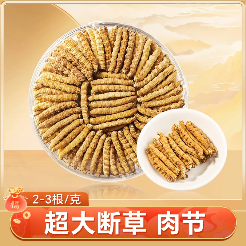 【超大断草】冬虫夏草断草 头期正宗断虫草精选