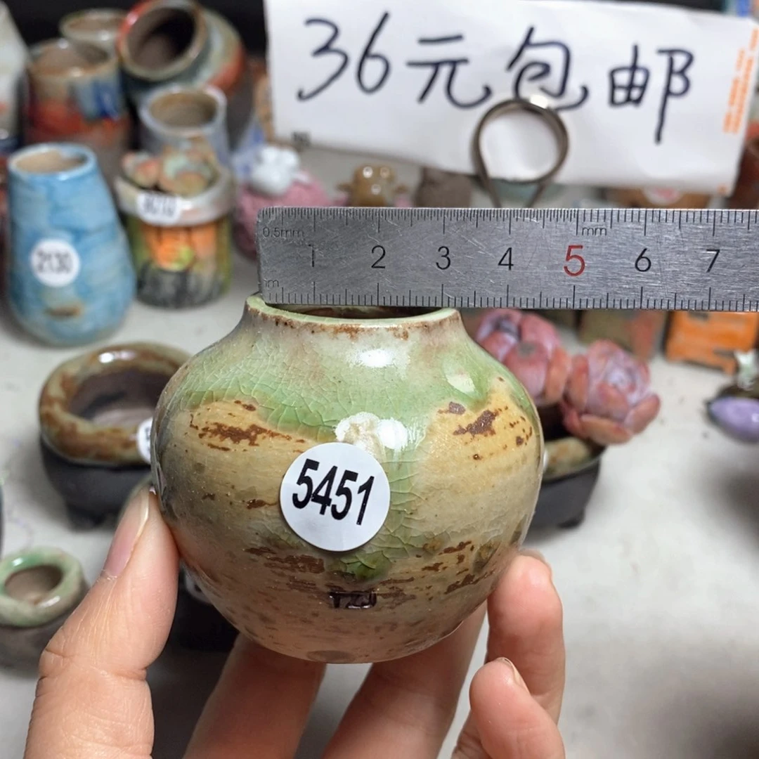 拍5送一个小礼物