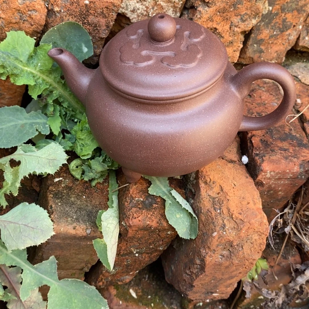 茶壶紫砂dfghnnjkkkk