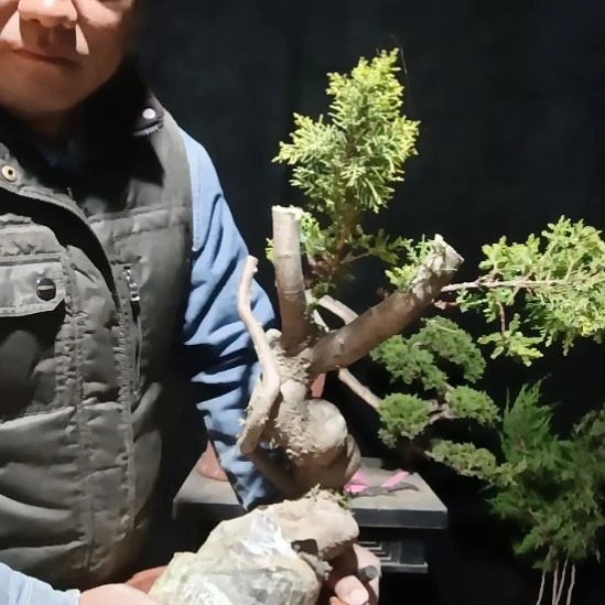 阿***8无花朵好好好好好好