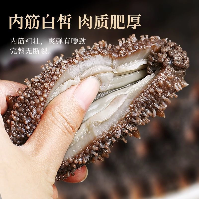 【鲜食海参】闽康佑6-8头500g霞浦海参