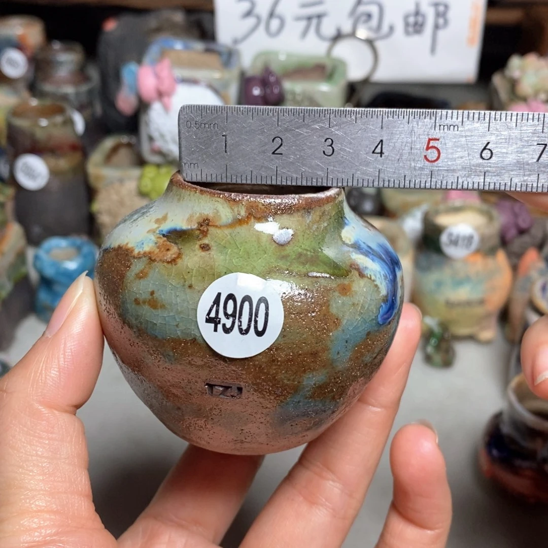 拍5送一个小礼物