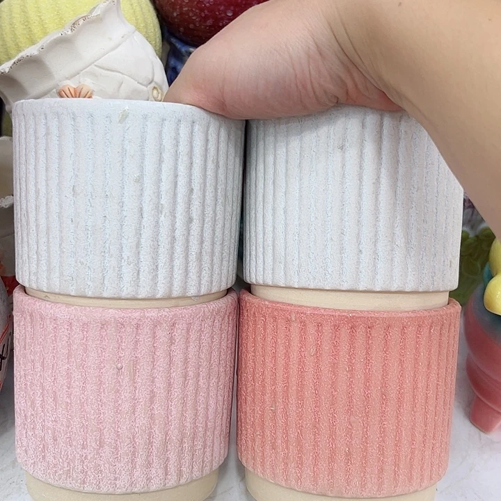 多肉植物陶瓷花瓶