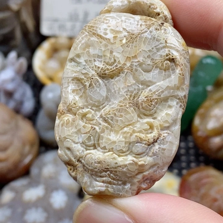 硅化珊瑚（珊瑚玉）颈饰未镶嵌有瑕