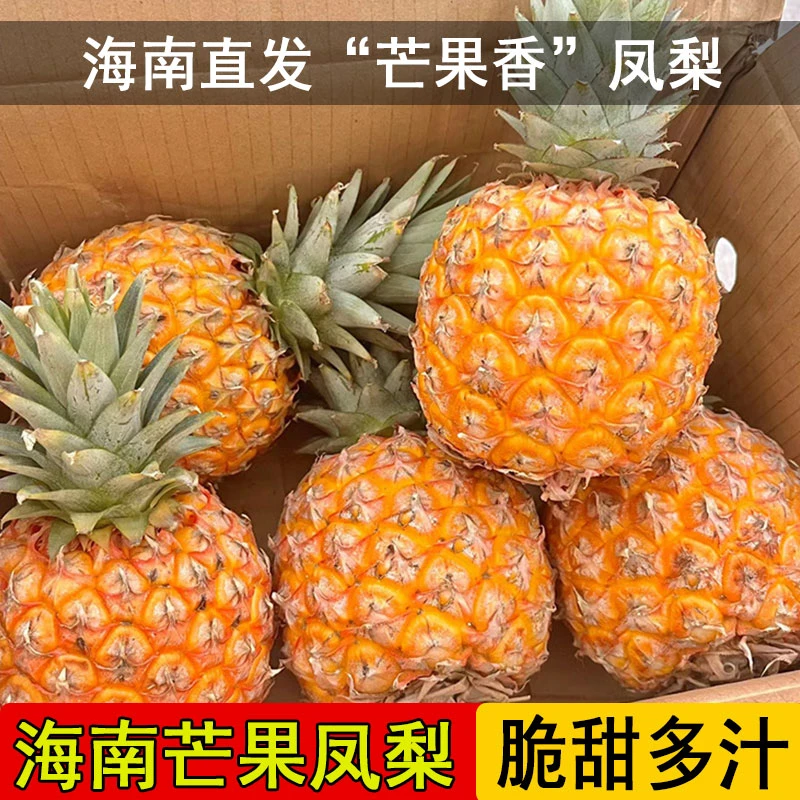 【顺丰包邮】海南芒果凤梨台农23号现摘现发凤梨芒果香凤梨大果礼盒