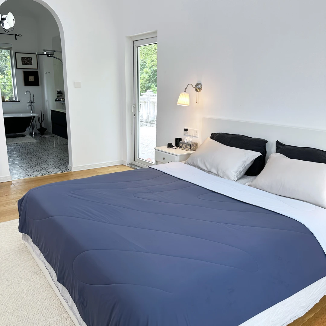 【LIIESEN】丽笙家居  一触即冰细腻丝滑可水洗抗菌魔力冰皮被