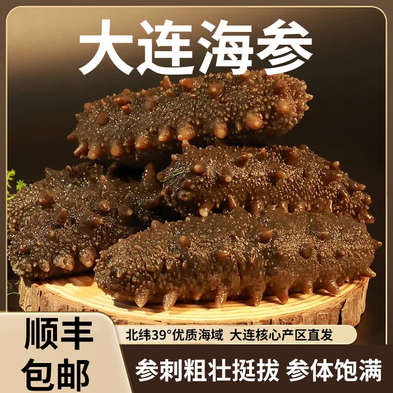 大连4-6头 7-9头即食海参沙山源头工厂渤海湾冷水慢长正宗辽刺参