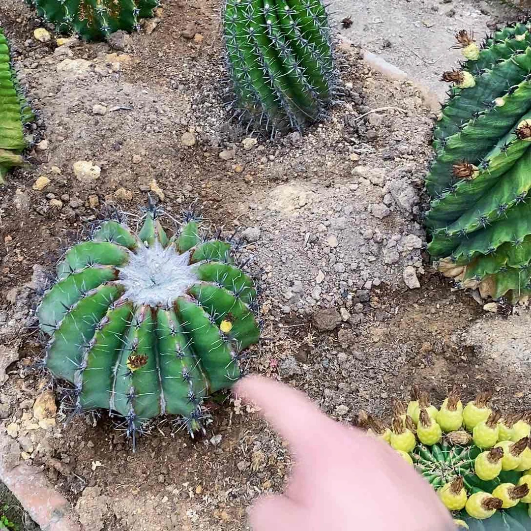 猛*000000000000000000