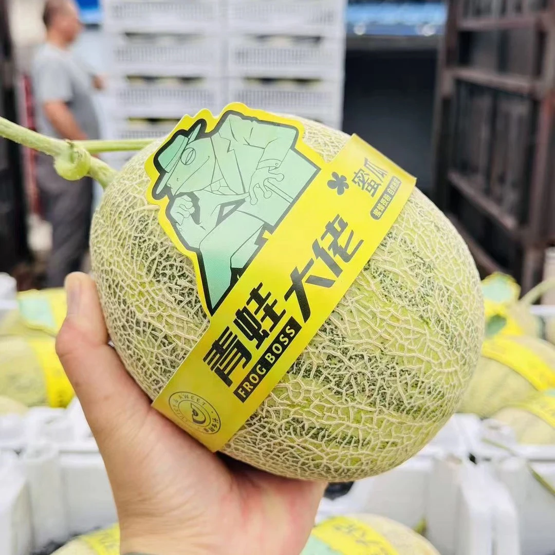 老牛优选 青蛙王子瓜 1件 2颗 4-4.5斤 保温箱 快递包邮