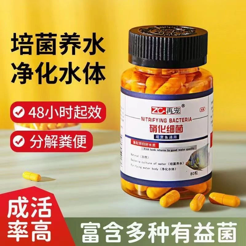鱼缸硝化细菌胶囊鱼池鱼缸水质净化活菌稳定剂养鱼药必备用品