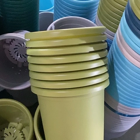 树脂微瑕4号8个无托果绿