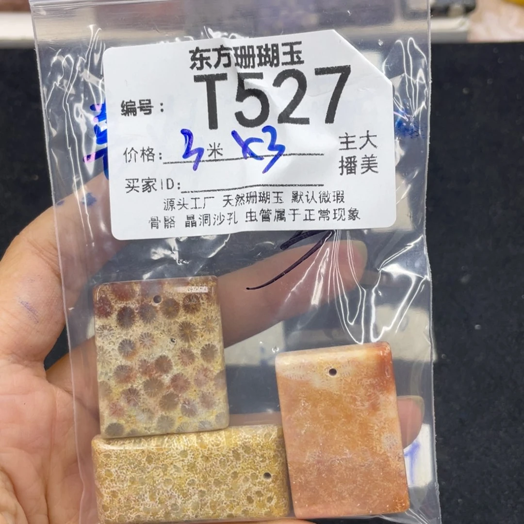 喜***多硅化珊瑚（珊瑚玉）合金颈饰