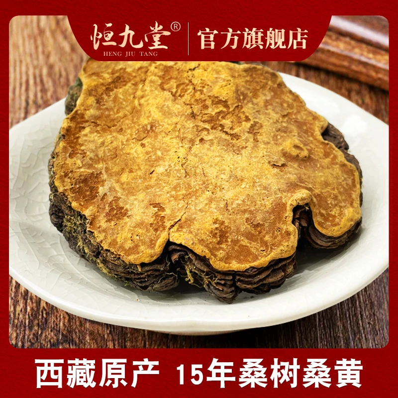 西藏桑黄 老树桑黄 250克甄选大块精挑细选